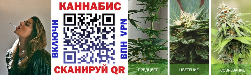 где можно купить   Советский  Бошки марихуана THC 21% 